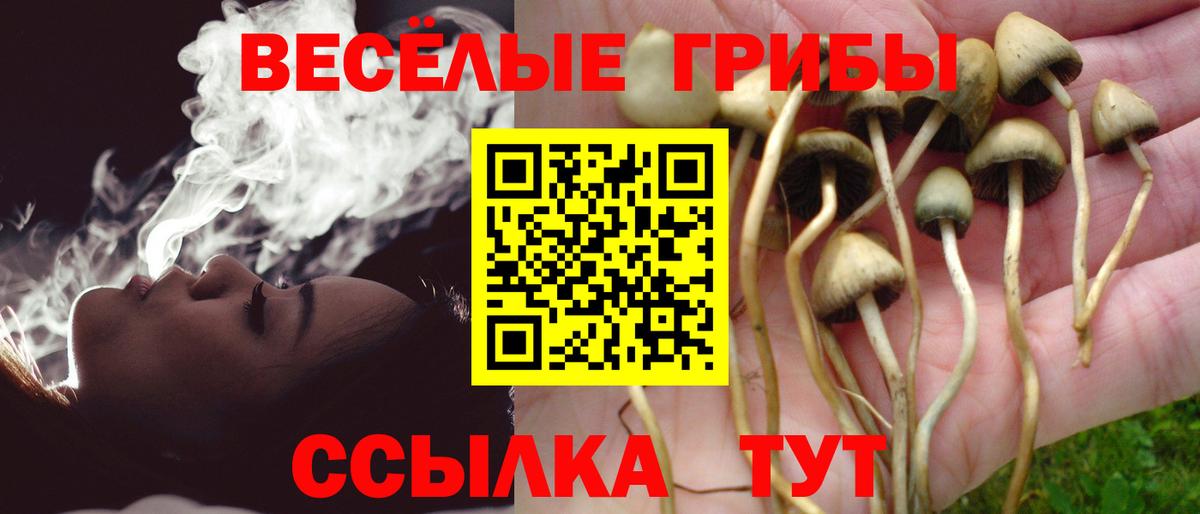 Галлюциногенные грибы Psilocybine cubensis Улан-Удэ