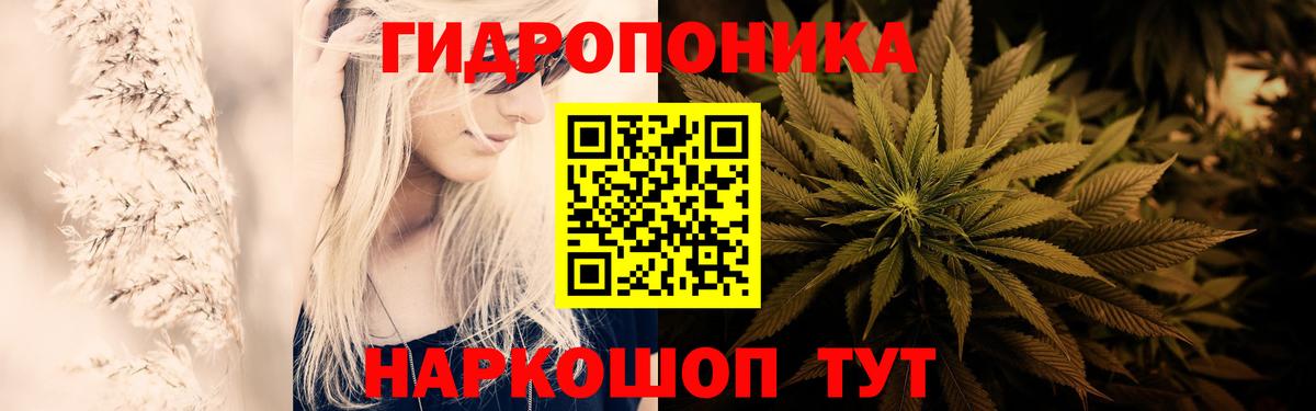 Бошки марихуана OG Kush Улан-Удэ
